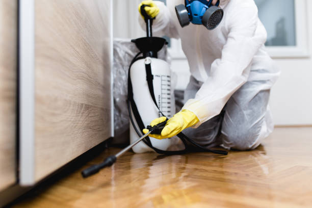 Best Exterminator Services  in Stickney, IL