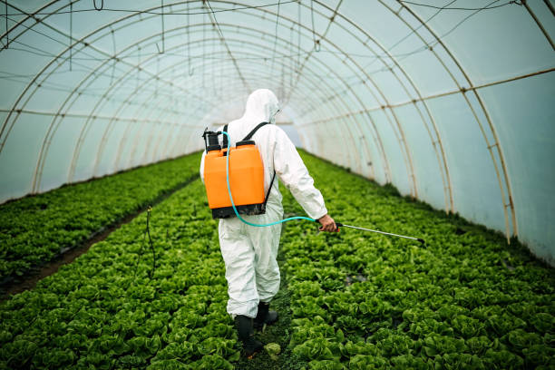 Best Pest Inspection Near Me  in Stickney, IL