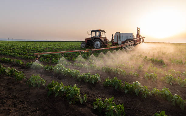 Best Pest Prevention Services  in Stickney, IL