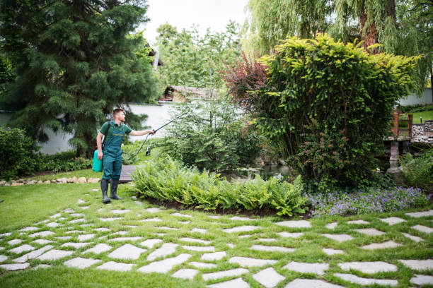 Best Wasp Removal Services  in Stickney, IL