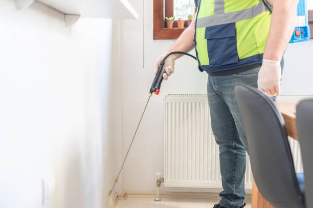 Best Flea Control Services  in Stickney, IL