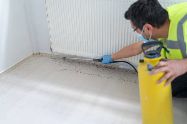Best Exterminator Services  in Stickney, IL